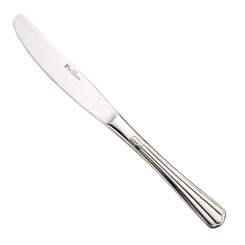 Bordskniv Bernini Pintinox 22,5cm