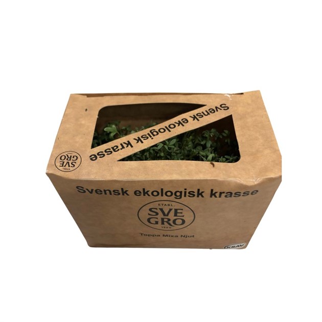 Smörgåskrasse ask