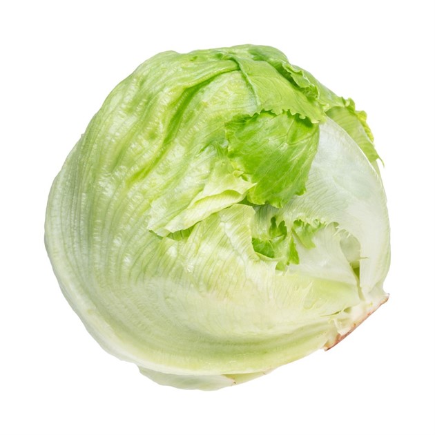 Sallad Isberg Kg