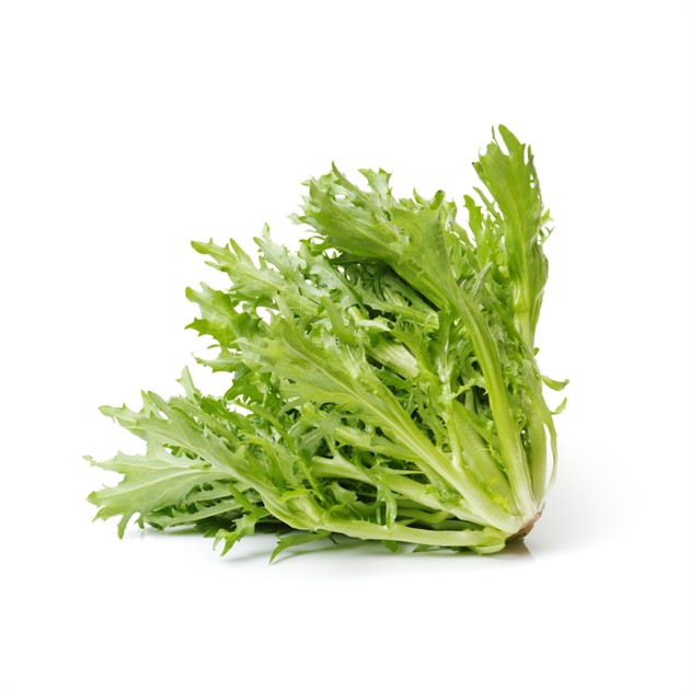 Sallad Frisse Fine St