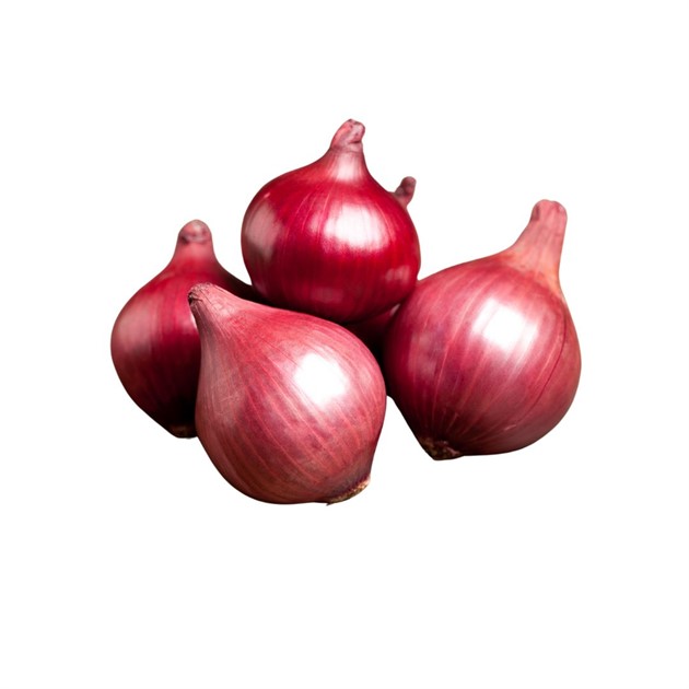 Röd lök kg