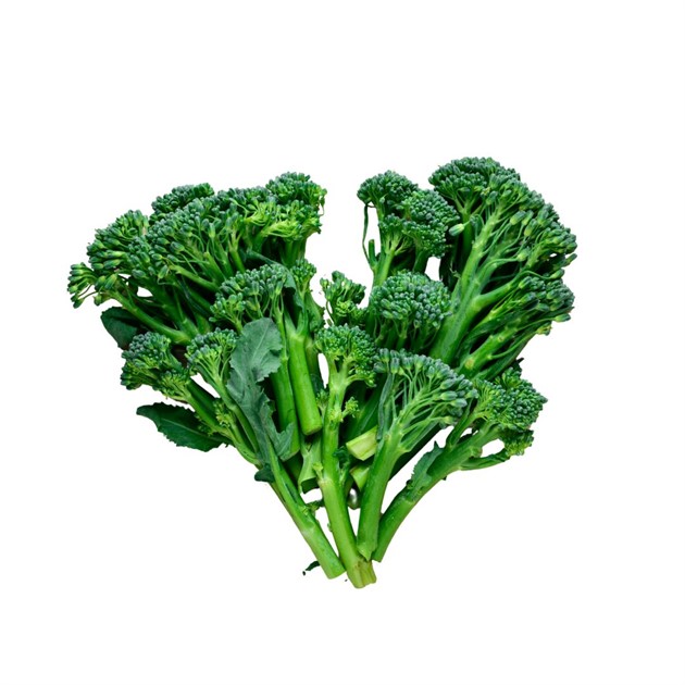 Broccoli Bimi Tråg St