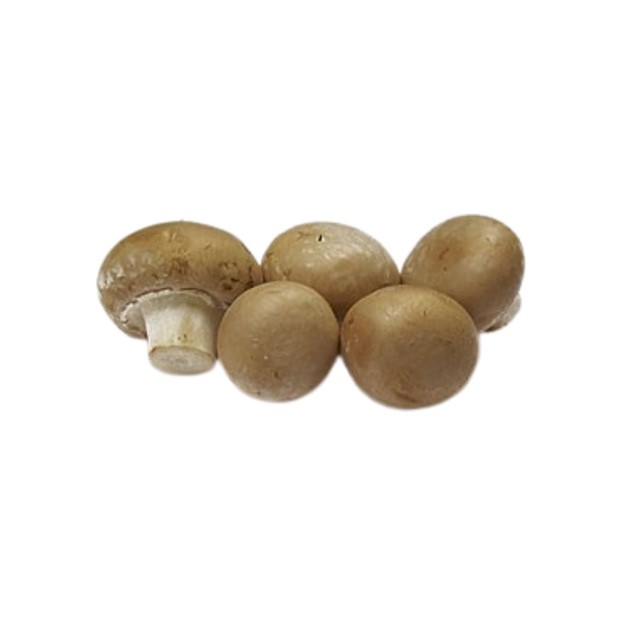 Svamp Skogschampinjon brun 3 kg/låda