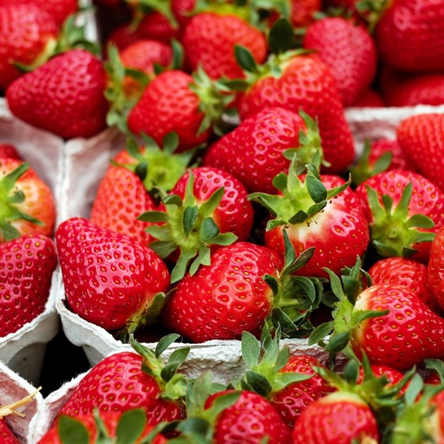 Frukt Jordgubbar 500g Sverige