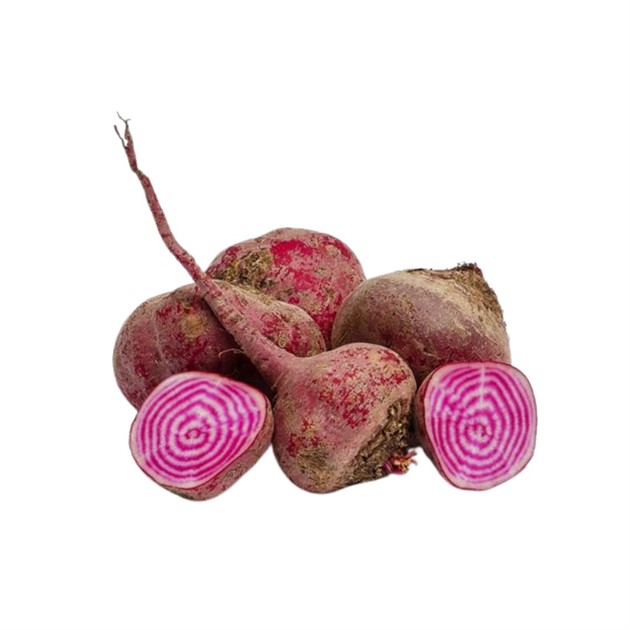 Polkabetor kg
