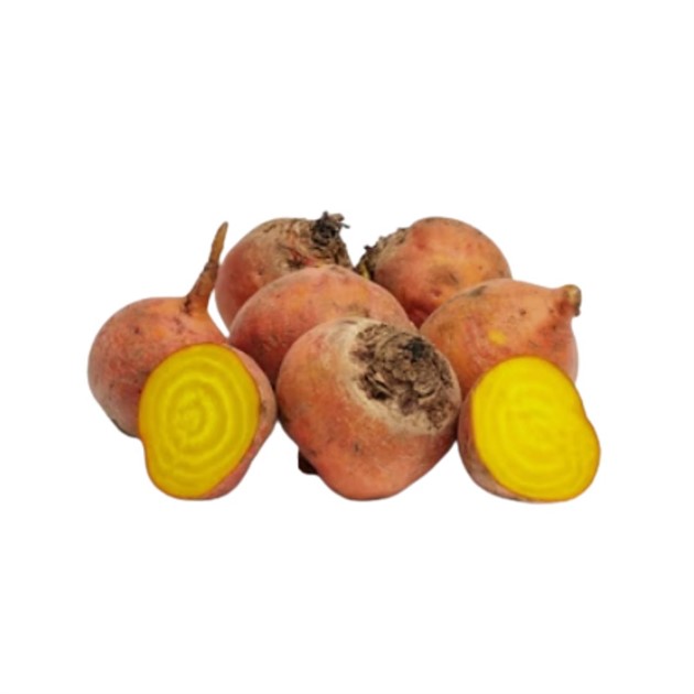 Gulbetor kg