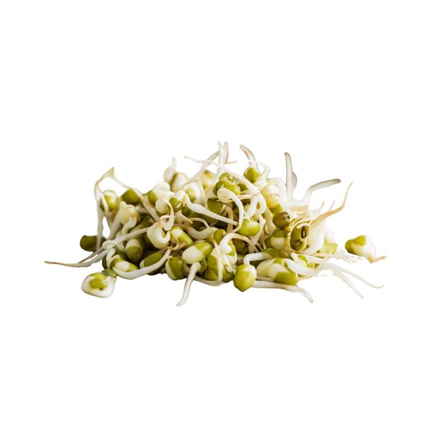 Groddar Mungböna EKO 500g