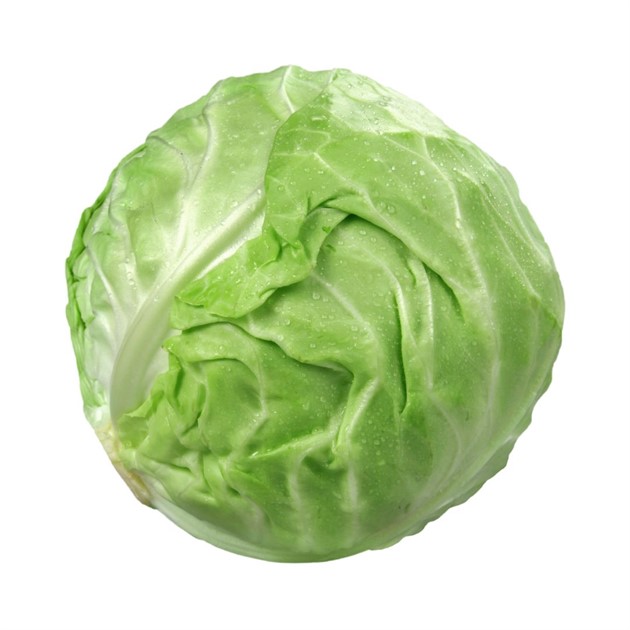 Vitkål kg DE